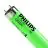 Philips MASTER TL-D 18W - Verde | 60cm