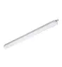 Philips Stagna LED CoreLine WT120C G2 15W 1800lm - 840 Bianco Freddo | 60cm